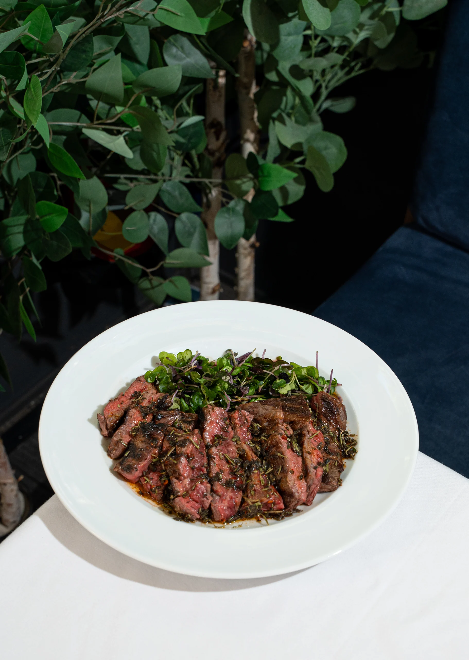 plato de carne
